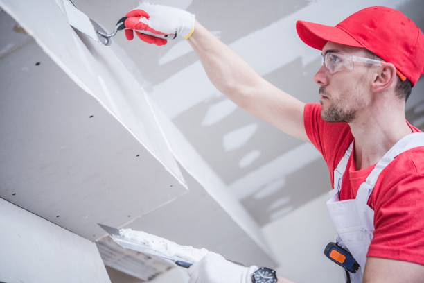 Best Ceiling Drywall Installation  in Crooks, SD